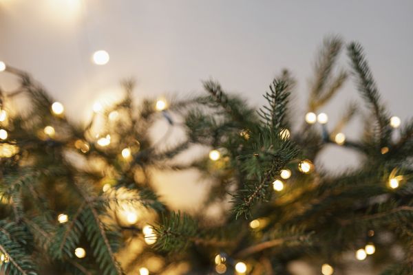 Kerstboom met lichtjes